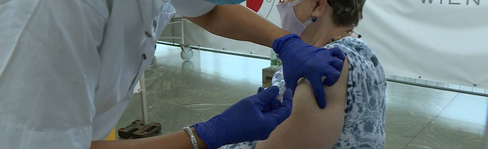 Wien startet groß angelegte FSME-Impfaktion