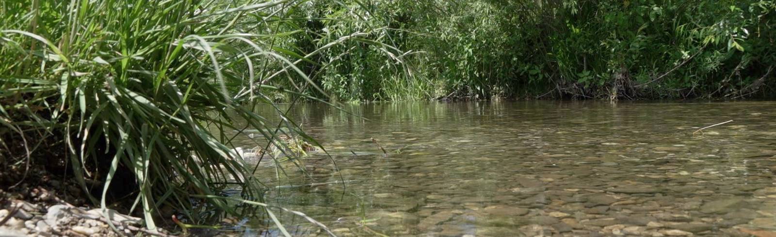 Liesingbach: Neues Infozentrum eröffnet