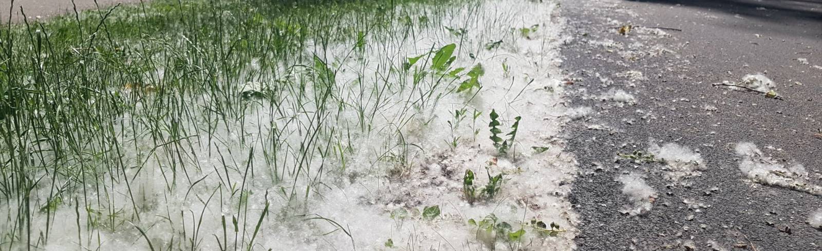 Bezirksflash: Kein Schnee in Favoriten