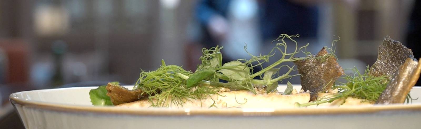 Gastro und Hotels sperren wieder auf