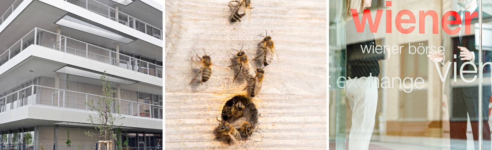 Neues aus den Bezirken