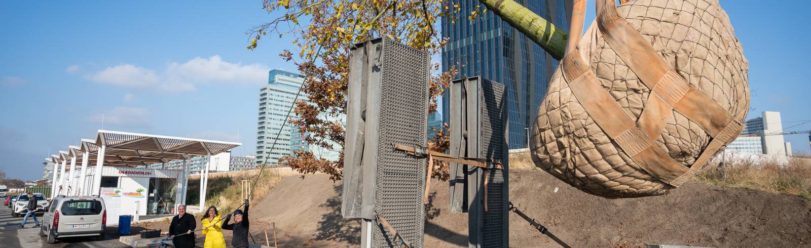 Bezirksflash: XXL-Bäume für Copa Beach