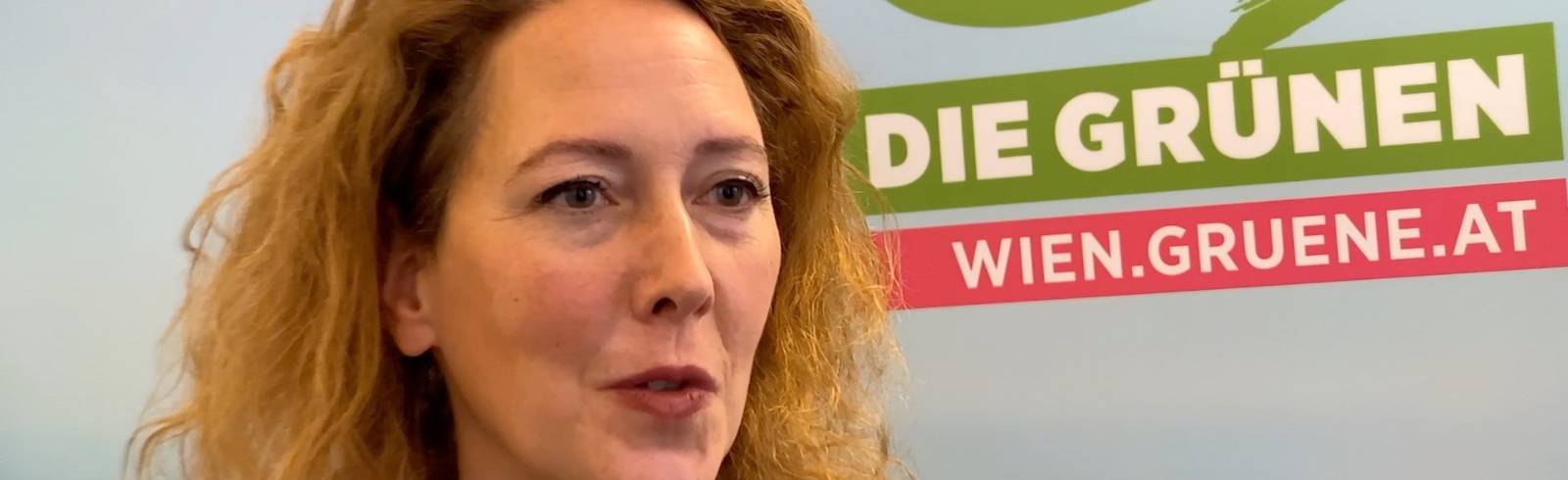 Wiener Grüne wollen "Weihnachtsfrieden"