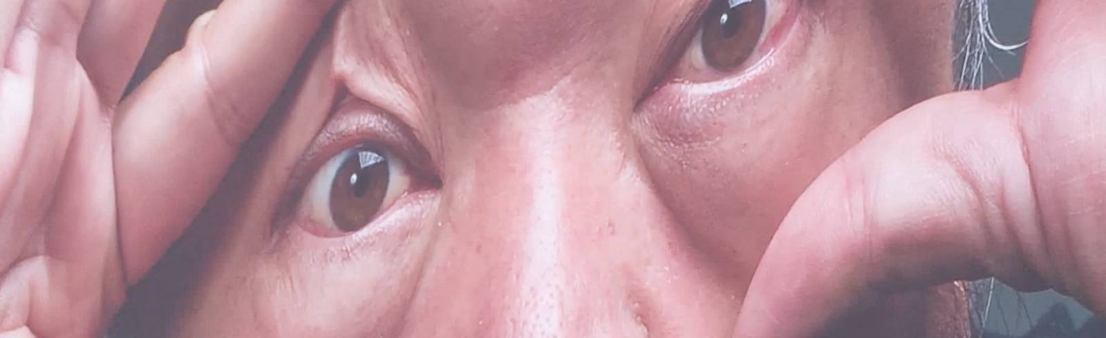 "In Search of Humanity" in der Albertina