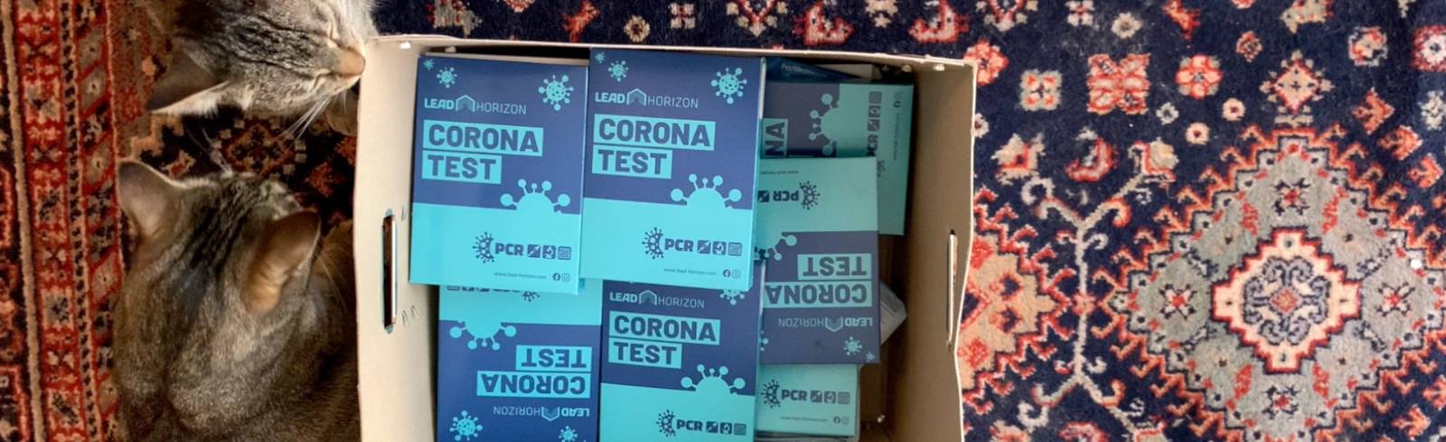 Teststrategie: Mehr PCR-Tests bei Ausnahmen