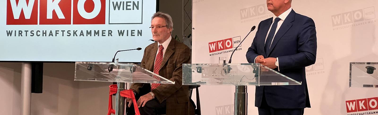 Lobautunnel: Wirtschaftskammer erwägt Klage