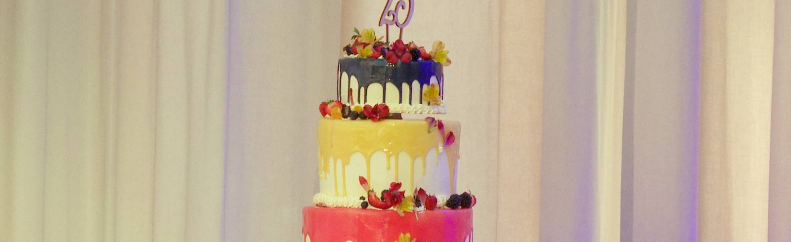 25 Jahre BFI-Fachhochschule