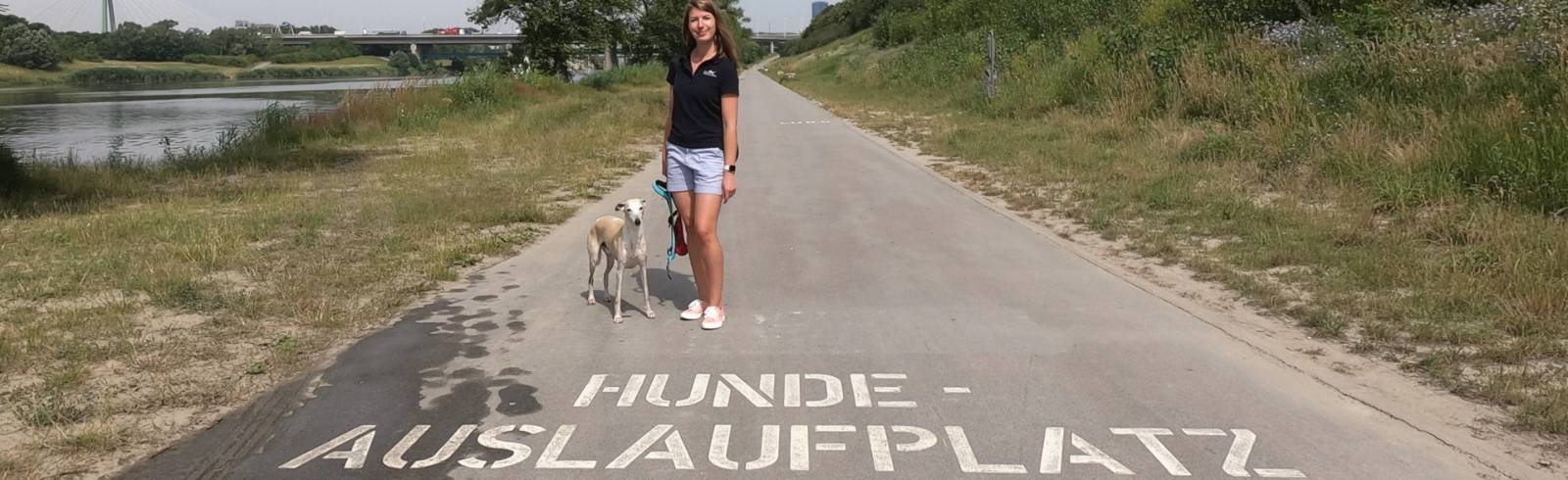 Affenhitze: Was tun mit dem Hund?