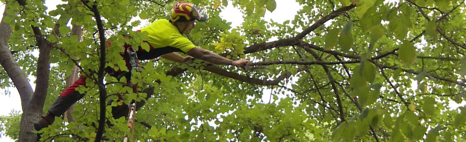Achtung, Baumarbeiten!