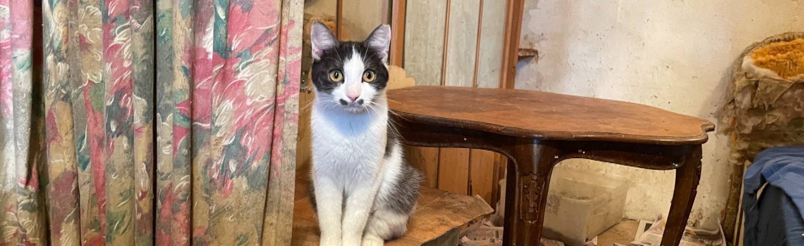 Neues aus den Bezirken