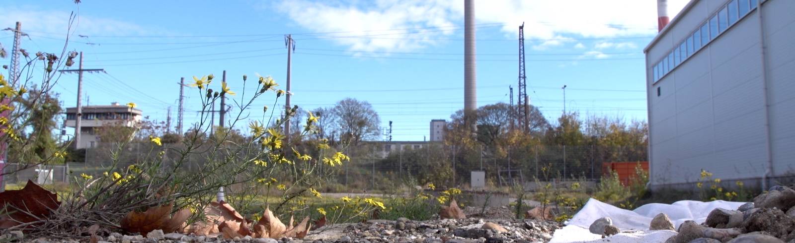 Spatenstich: Neues Wertstoffzentrum in Simmering