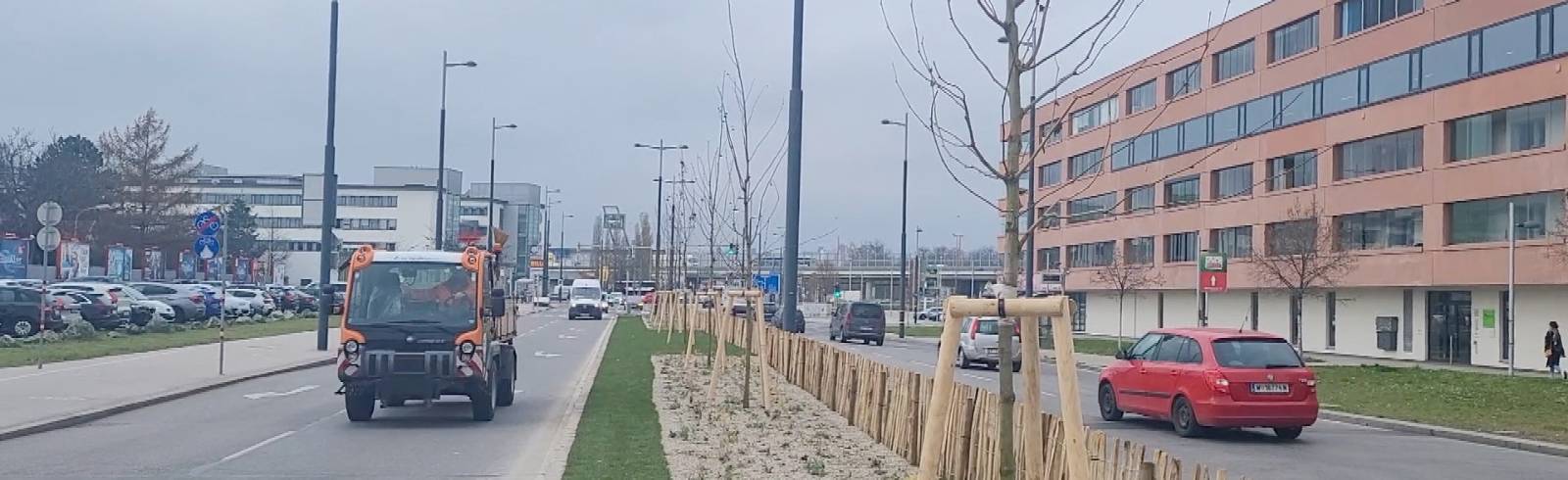 Bezirksflash: Bäume für die Sterngasse