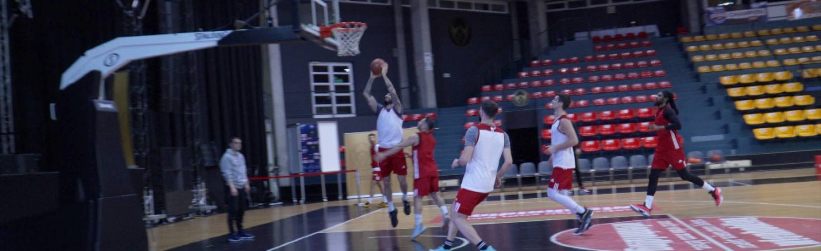 BC-Vienna kurz vor Final Four