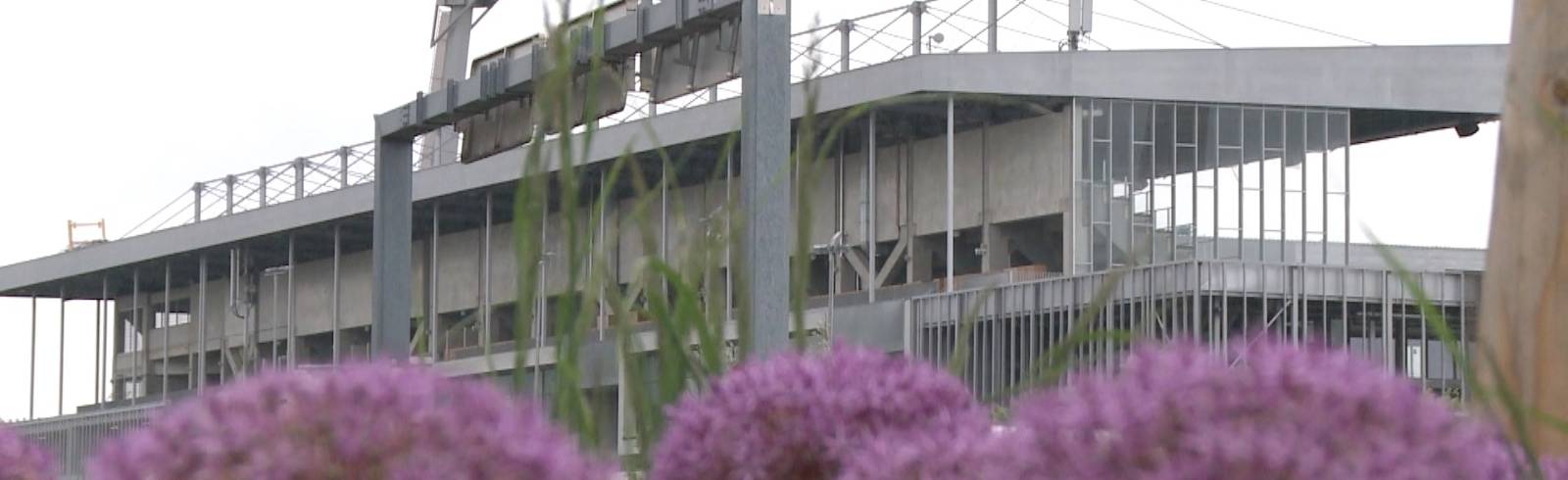 Bundesliga: Keine Lizenz für die Austria