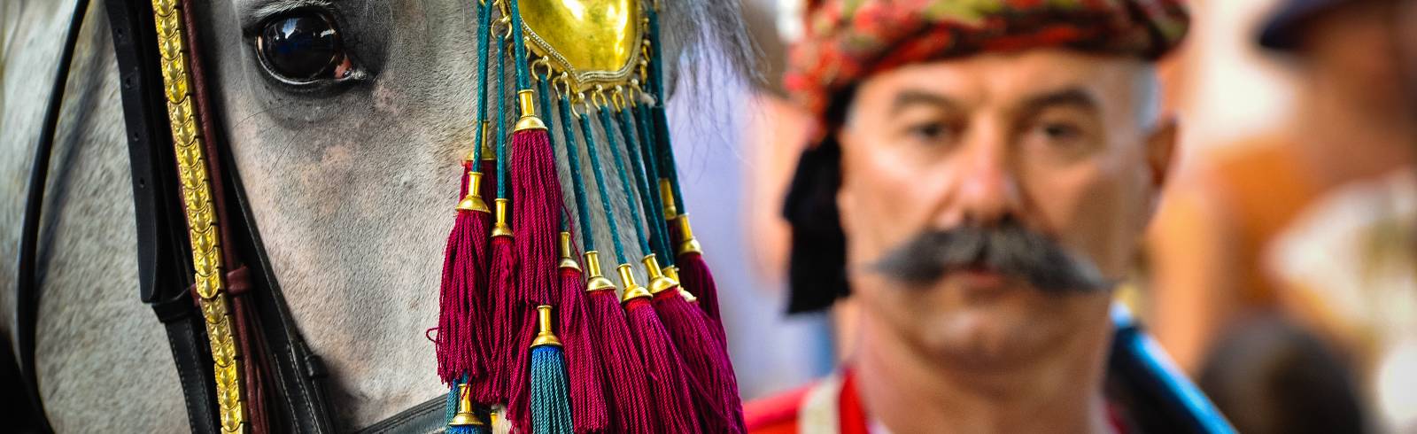 Die Alkaren kommen nach Baden!