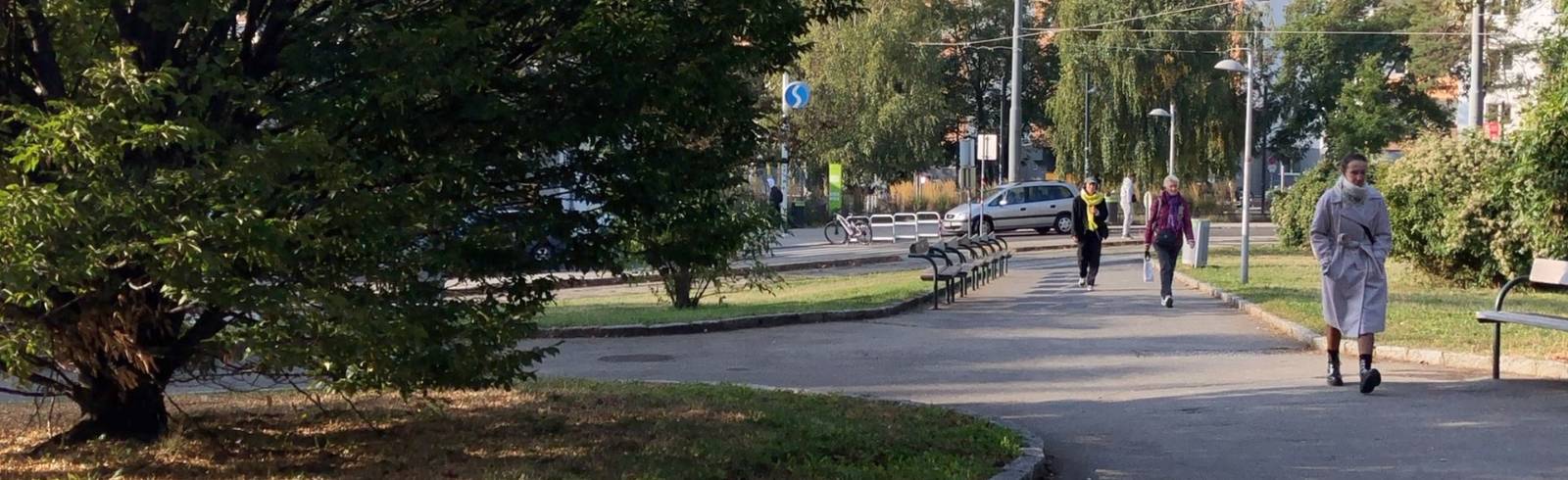 Breitensee: Park, Markt oder was?