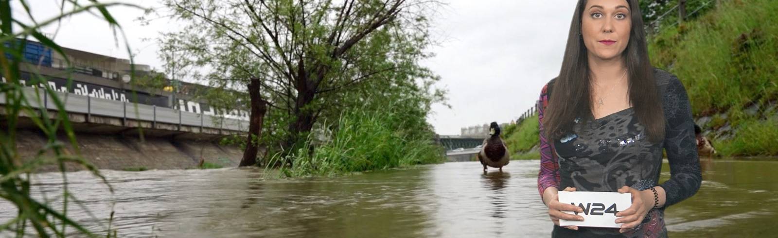 Wetter: Es bleibt grau - vorerst
