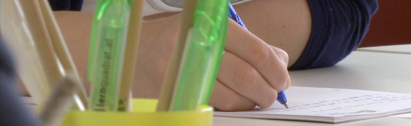 Deutsch an Schulen: FPÖ für Umfrage