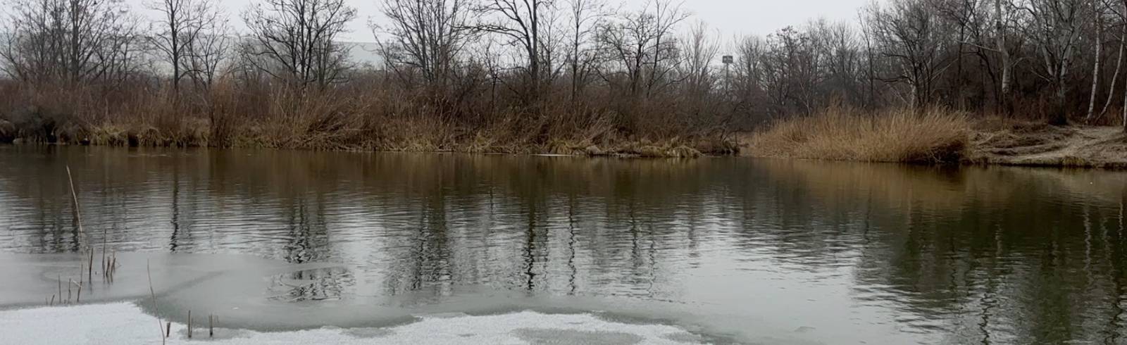 Leichenteile: Polizei arbeitet "mit Hochdruck"