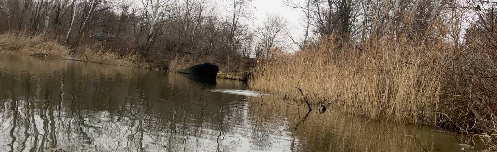 Zerstückelte Leiche im Marchfeldkanal: Mordprozess gestartet