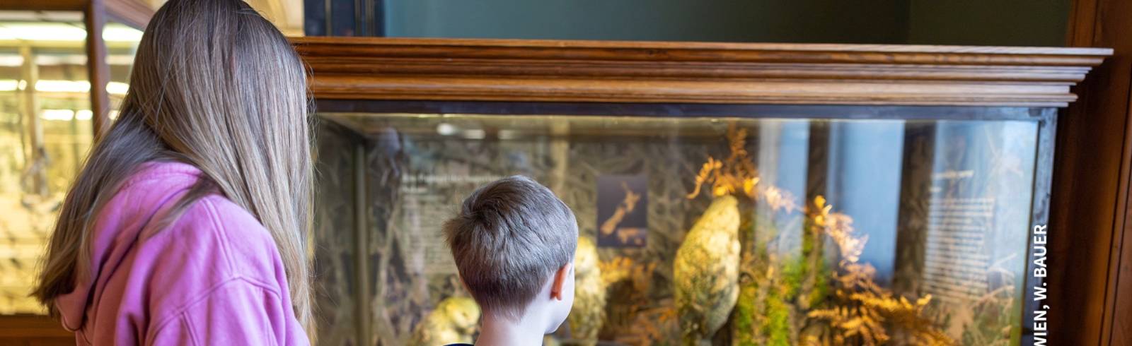 Bezirksflash: Neuer Kinderführer für NHM