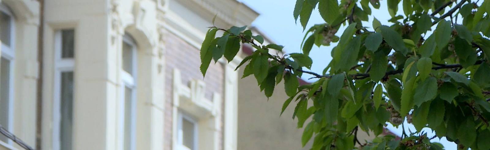 Offensive Altbauten: Bilanz nach einem Jahr