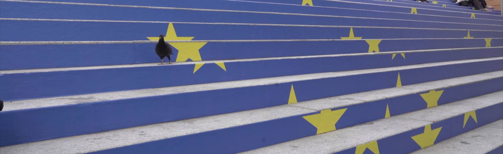 EU-Wahl: Hauptbücherei zeigt Flagge