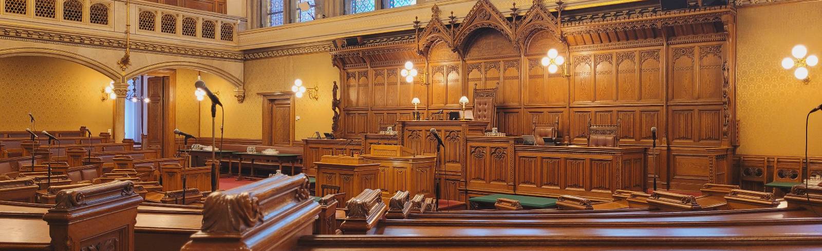 Gemeinderat: Diskussion um Gewalt gegen Frauen