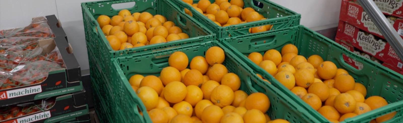 Tafel Österreich: Digitale Plattform für Lebensmittelrettung