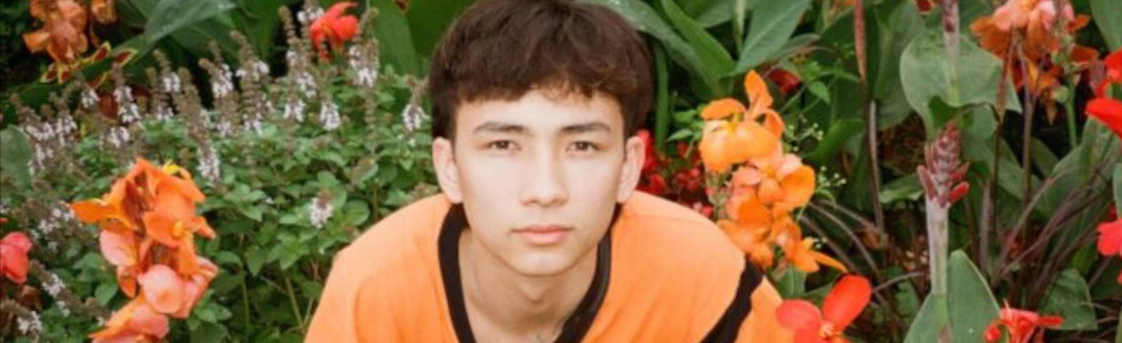 Heimische Newcomer & internationale Stars