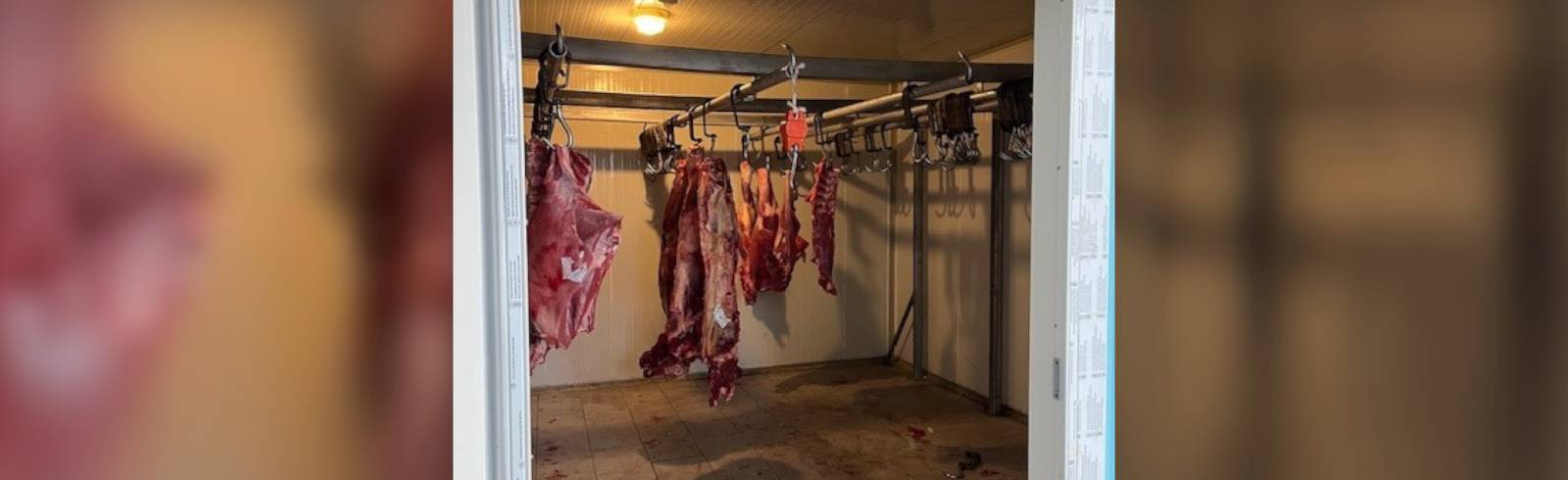 Ottakring: Illegale Fleischerei entdeckt