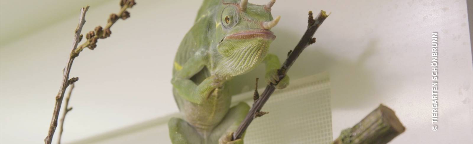 Bezirksflash: Neues Artenschutzhaus eröffnet