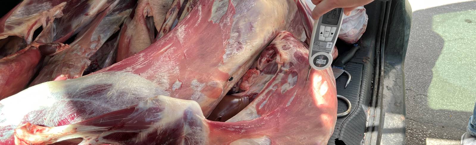 Gruppe Sofortmaßnahmen: 150 Kilo Fleisch beschlagnahmt