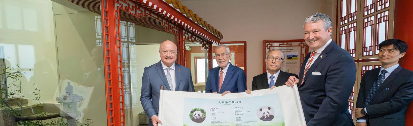 Schönbrunn: Neues Panda-Duo als Highlight