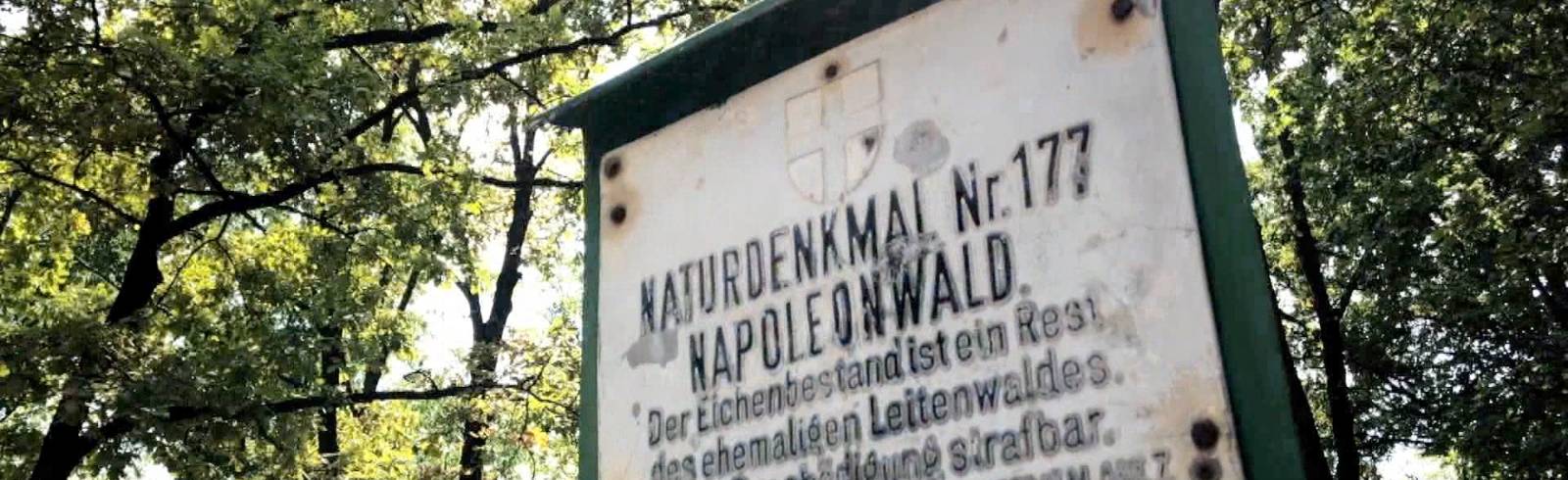 Bezirksflash: Weiter Streit um Hietzinger Napoleonwald