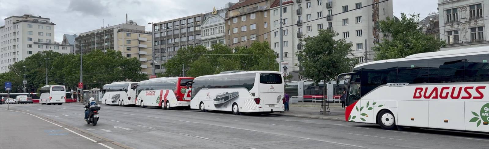 Schwedenplatz: Timing auf der Busspur
