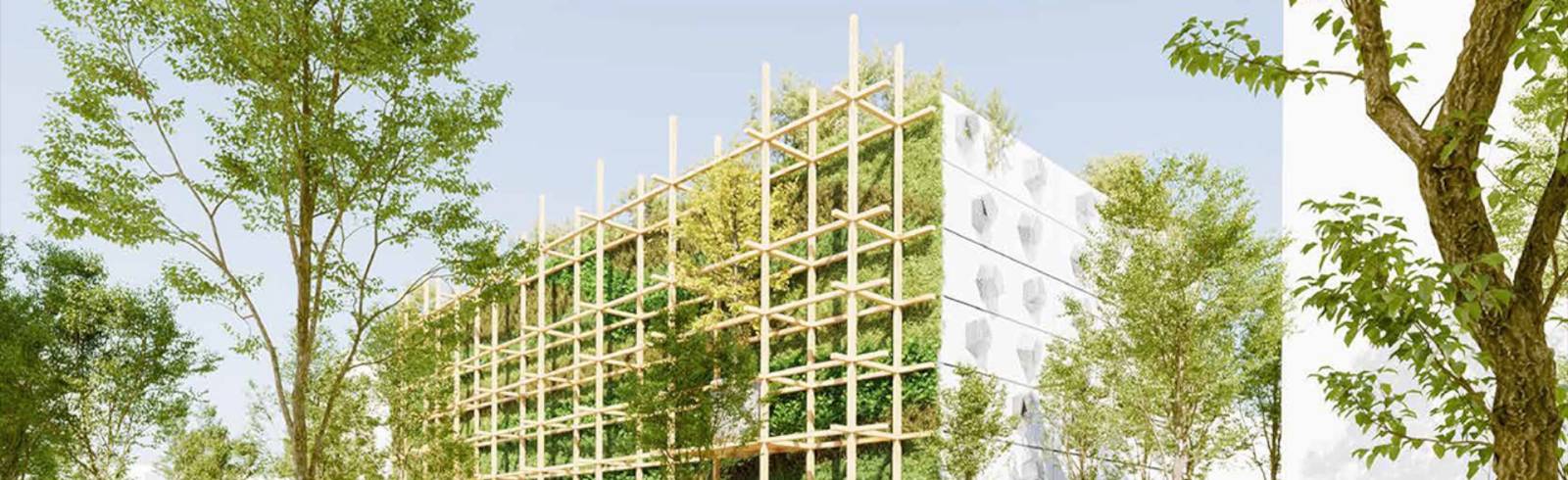 Bezirksflash: Zukunft im Seecarré