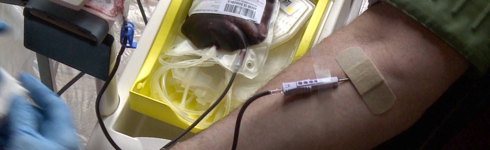 Rotes Kreuz: Das Land braucht dringend Blut