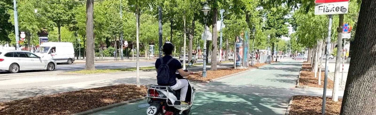 Stadt Wien fordert E-Moped-Verbot auf Fahrradwegen