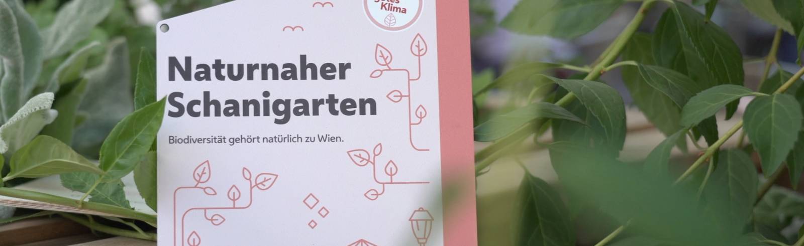 Grünoase: Naturnaher Schanigarten am Alsergrund