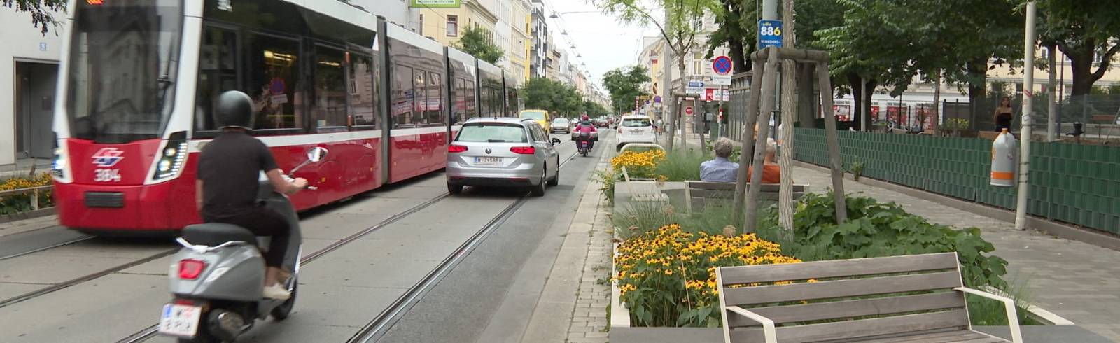 Hitze: Tut Wien genug dagegen?