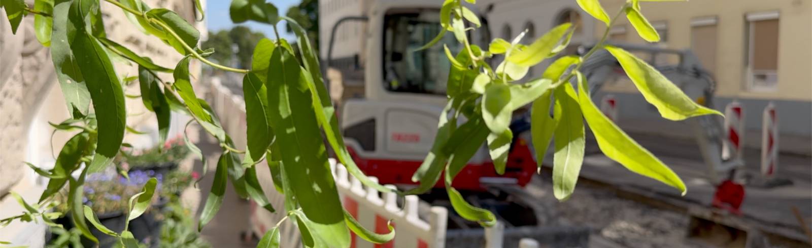 Bezirksflash: Rembrandtstraße wird umgestaltet
