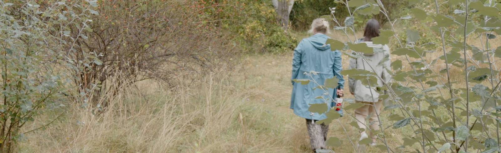 Studie: "Positives Signal für mehr Stadtwildnis"