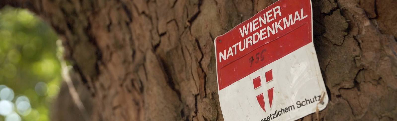 Denkmäler: "Made by Nature"