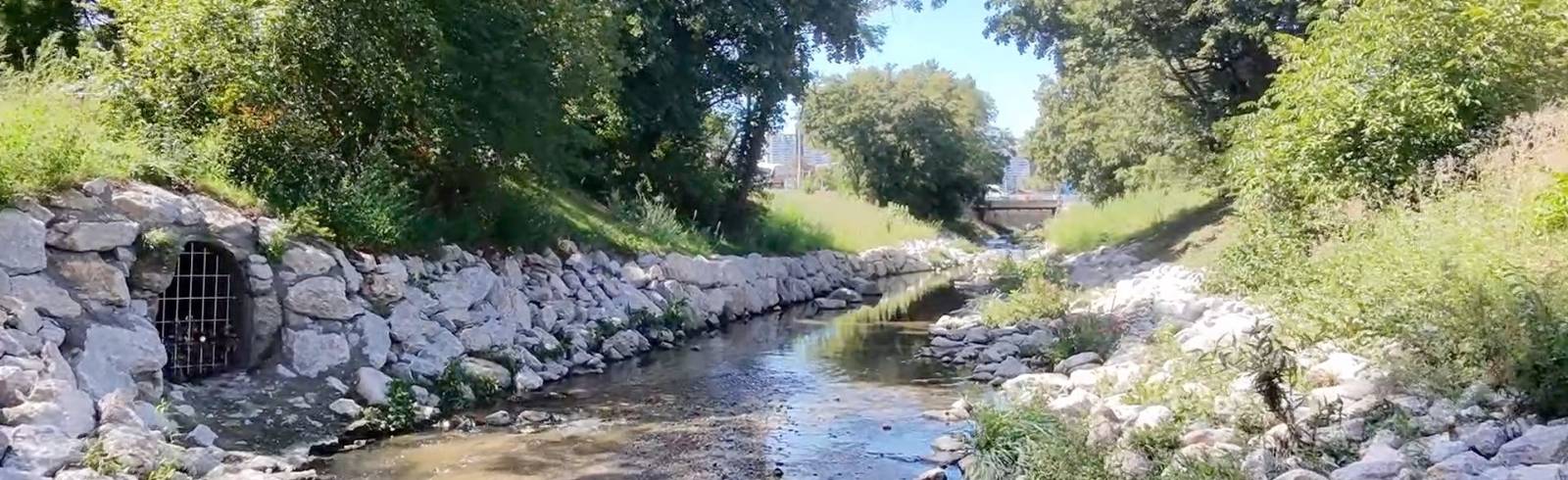 Nächster Abschnitt des Liesingbachs wird zum Naturjuwel