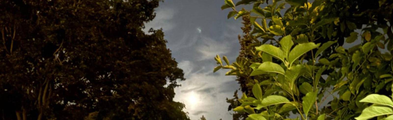 Totale Mondfinsternis über Wien teilweise sichtbar