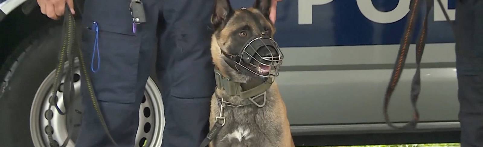 Polizei: Fünf neue Datenspürhunde