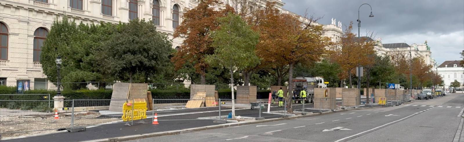 Bezirksflash: Hitzeschutz für Bäume