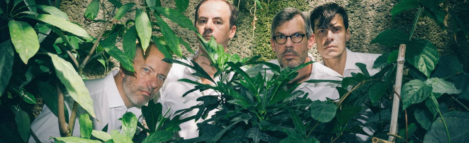 Heimische Konzerthighlights im November