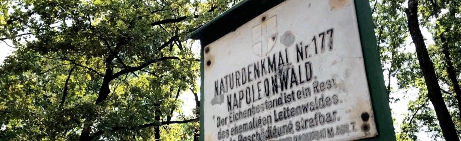 Bezirksflash: Bauprojekt Napoleonwald wackelt wegen Naturschutz